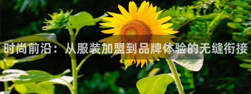 华润娱乐信q675.138