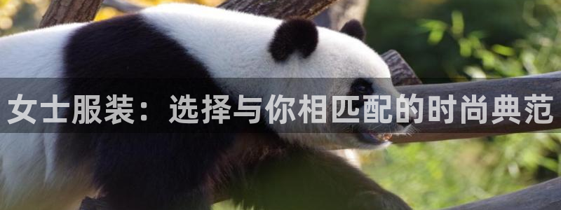 华润国际娱乐官网