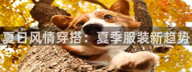 温泉城华润娱乐会所电话