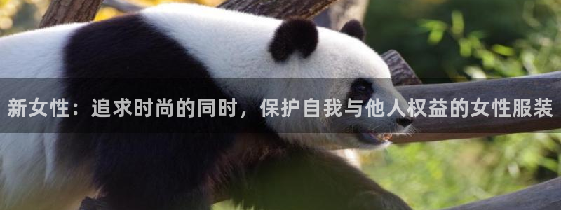 华润的娱乐项目