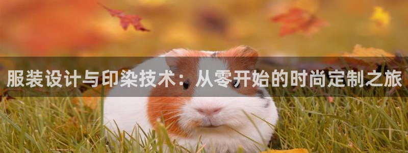 华润娱乐六七五一38