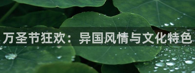 华润娱乐平台登录网址