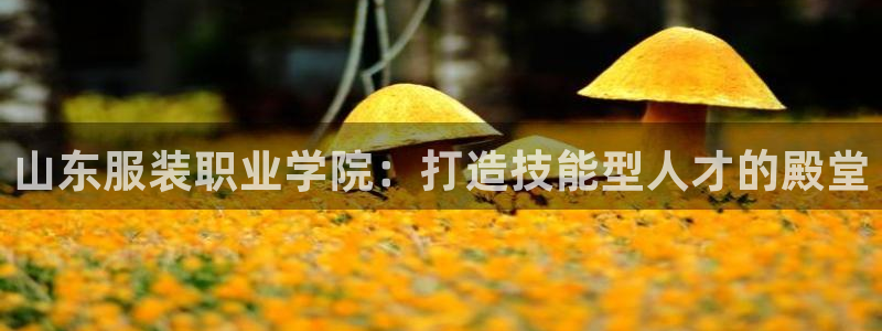 华润娱乐行政实习简历