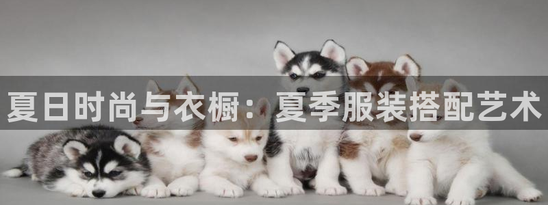 华润娱乐颗122222