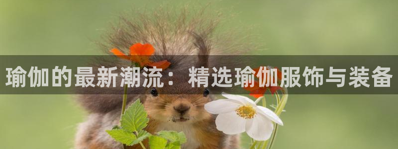 华润娱乐贴吧官网