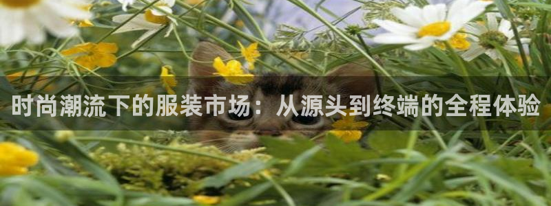 华润娱乐b3指尖