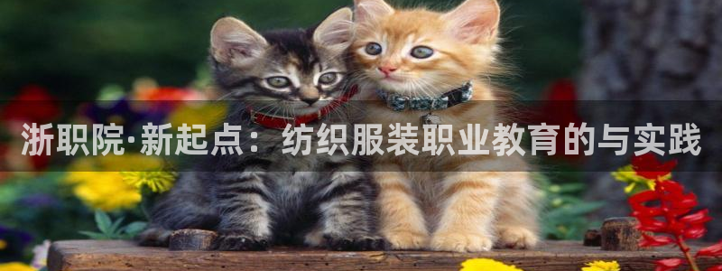 新会华润娱乐会所电话