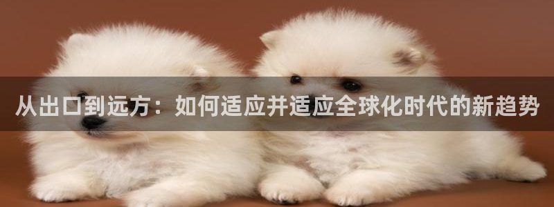 华润2娱乐975949：从出口到远方：如